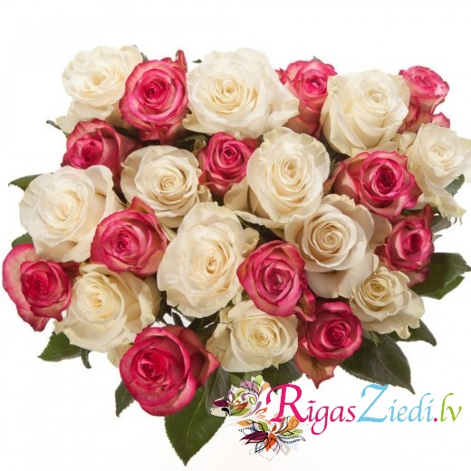 Bouquet of pink and white roses